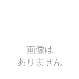 昇家のお肉(追加)　特選タン短冊焼き