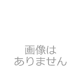 昇家のお肉(追加)　特選タン短冊焼き